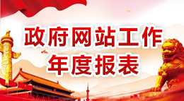 政府網站工作年度報表