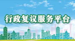 行政復議服務平臺